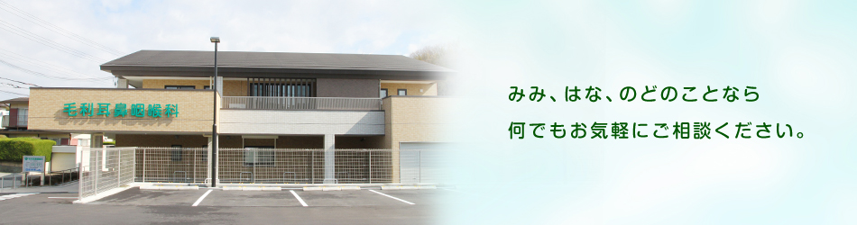 みみ、はな、のどのことなら 何でもお気軽にご相談ください。